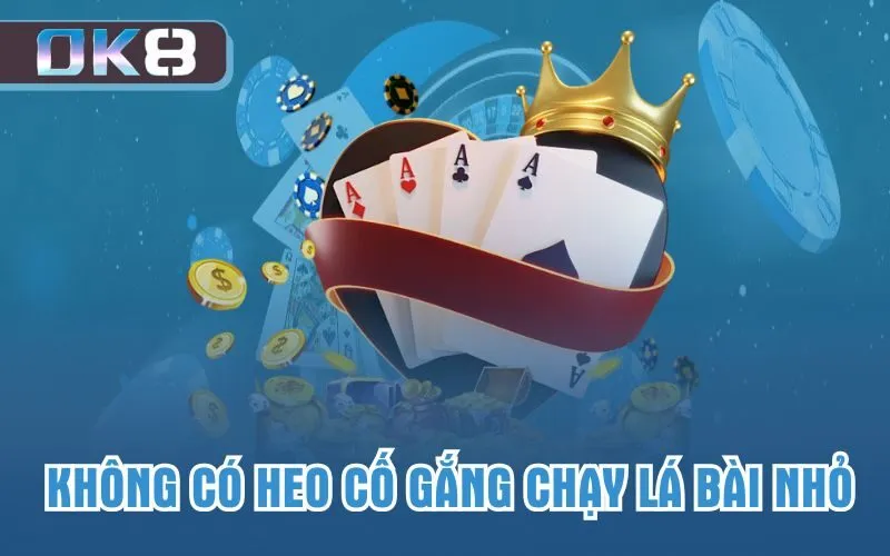 Không có heo cố gắng chạy lá bài nhỏ